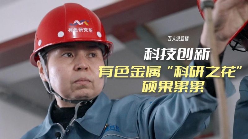 政务云运维服务的三级分类体系解析